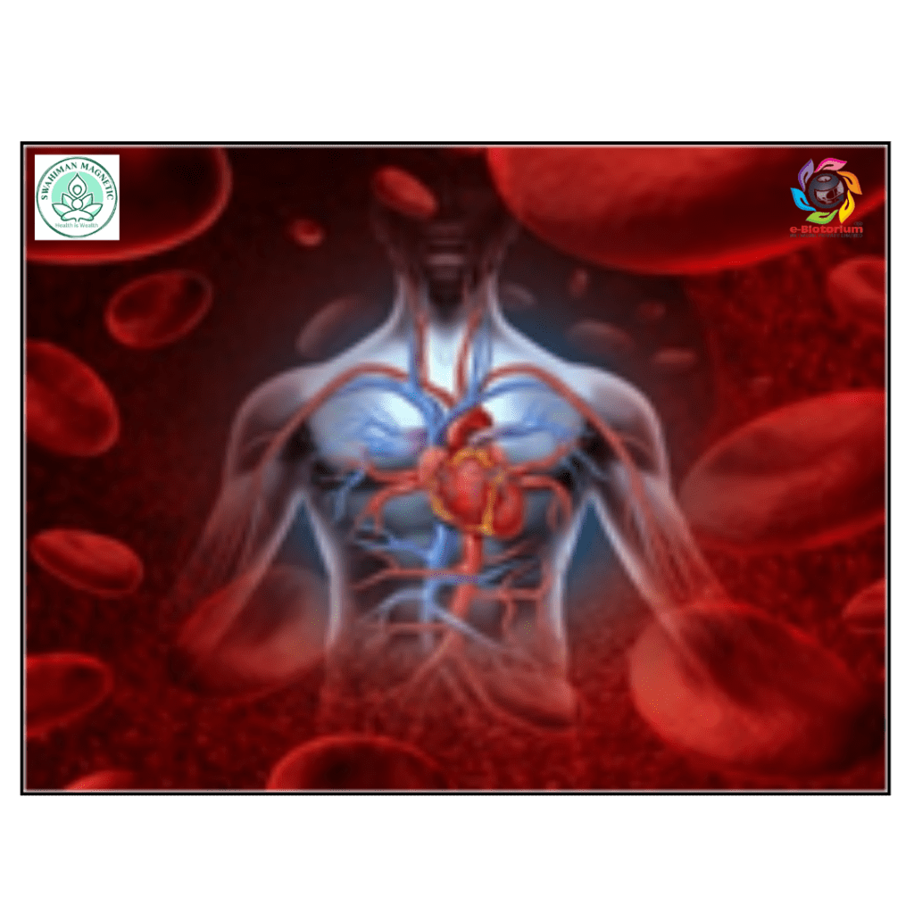 Benefit of Blood Circulation