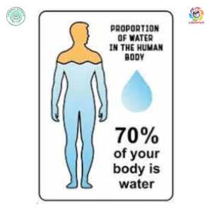 WATER ELEMENT