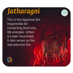 Jatharagni Jatharagni